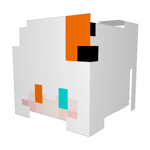 leidianmei Minecraft avatar head, 3D render