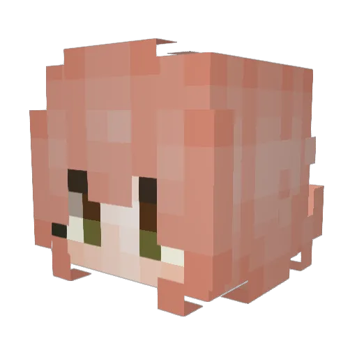 leighton2328 Minecraft avatar head, 3D render