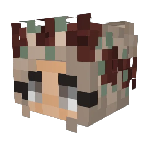 leilaa21 Minecraft avatar head, 3D render