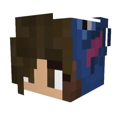 leilaisspacedout Minecraft avatar head, 3D render