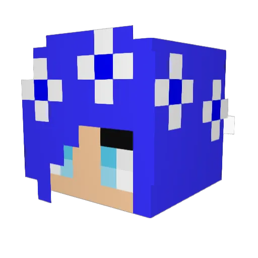 leilas2004 Minecraft avatar head, 3D render