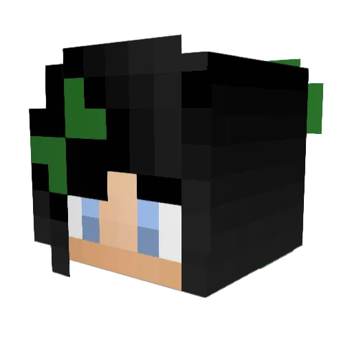 leilaxo3 Minecraft avatar head, 3D render