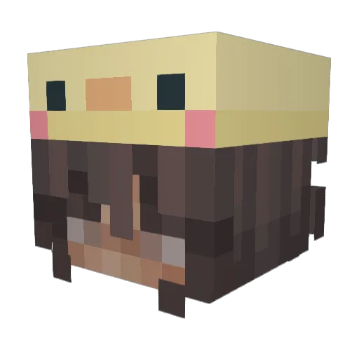 leish_3 Minecraft avatar head, 3D render