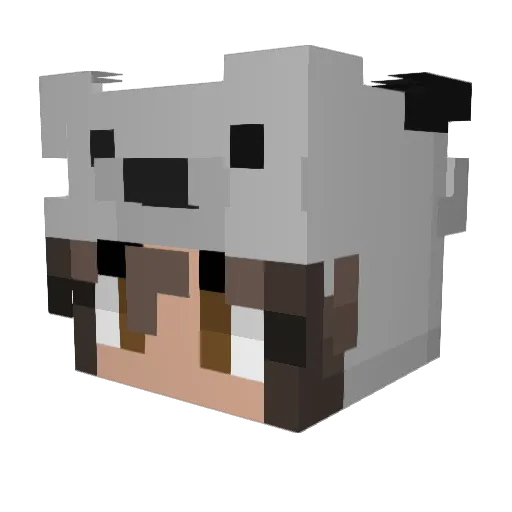 lejladcc Minecraft avatar head, 3D render