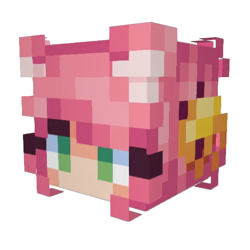 lek_fan Minecraft avatar head, 3D render