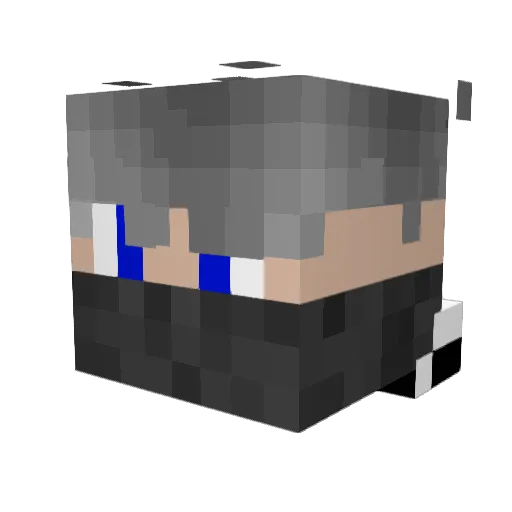 lel_1112 Minecraft avatar head, 3D render