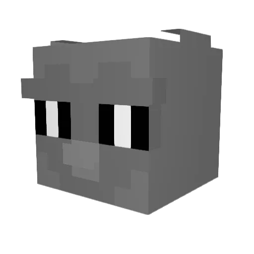 lelbibi50 Minecraft avatar head, 3D render