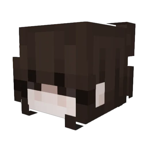 lelbra Minecraft avatar head, 3D render