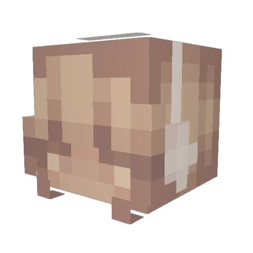 leldev02x Minecraft avatar head, 3D render