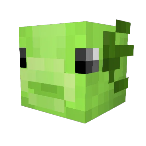 lemfuzz Minecraft avatar head, 3D render