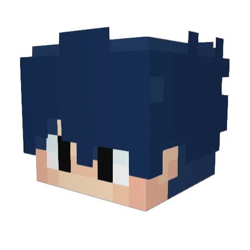 leminipro123 Minecraft avatar head, 3D render