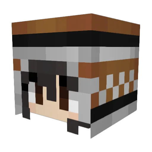 lemmie6 Minecraft avatar head, 3D render