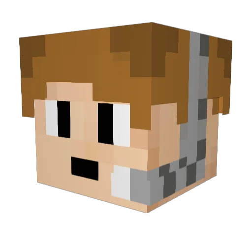 lemon8251 Minecraft avatar head, 3D render