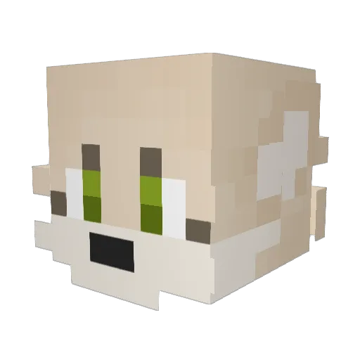 lemon_fennec Minecraft avatar head, 3D render