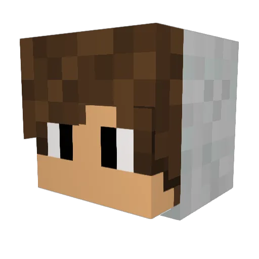 lemon_sensei Minecraft avatar head, 3D render