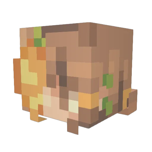 lemon_turtle Minecraft avatar head, 3D render