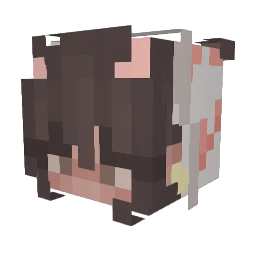 lemonaiidz Minecraft avatar head, 3D render