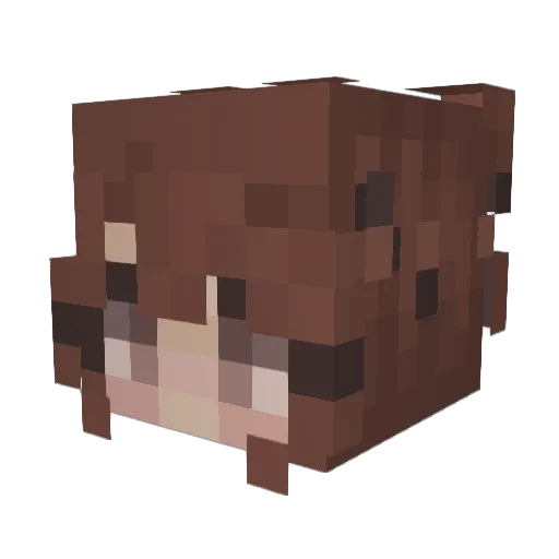 lemonbugs Minecraft avatar head, 3D render