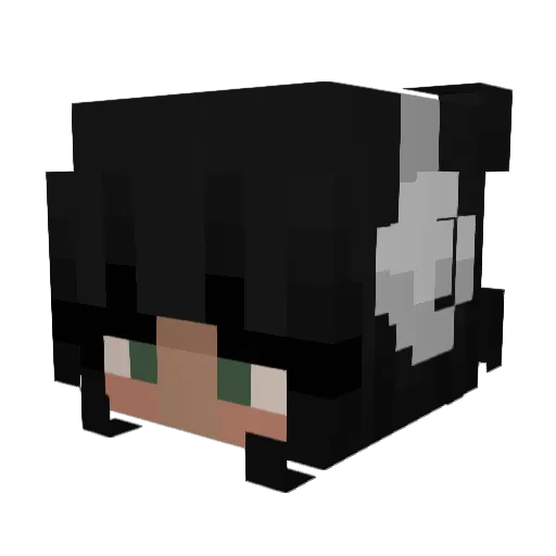 lemonduv Minecraft avatar head, 3D render