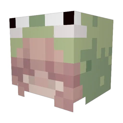 lemonfrogs Minecraft avatar head, 3D render