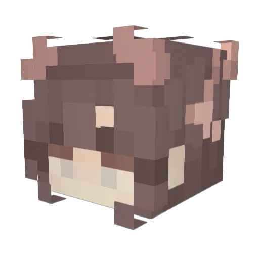 lemonjuice33 Minecraft avatar head, 3D render