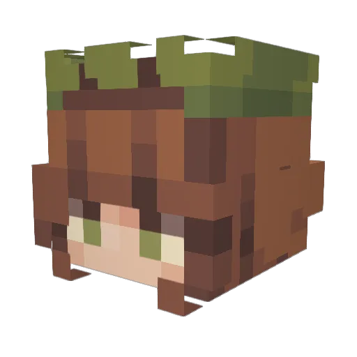 lemonlime4748 Minecraft avatar head, 3D render