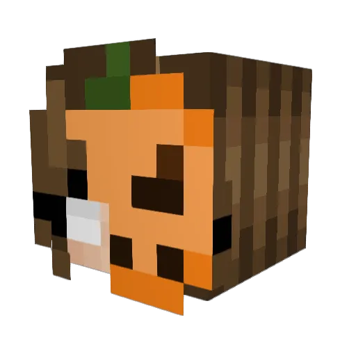 lemonpepperer Minecraft avatar head, 3D render