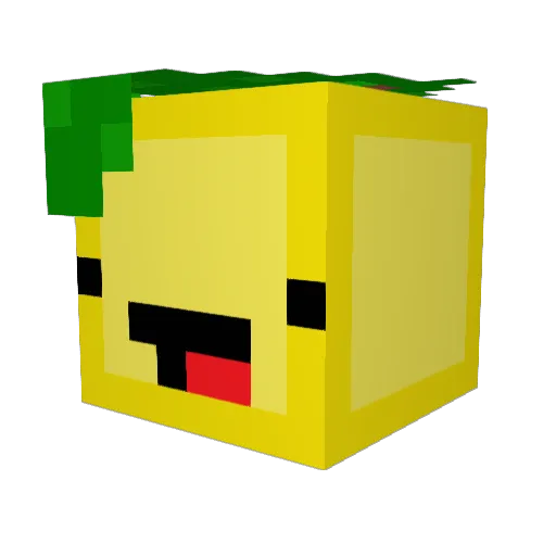 lemonshmemon Minecraft avatar head, 3D render
