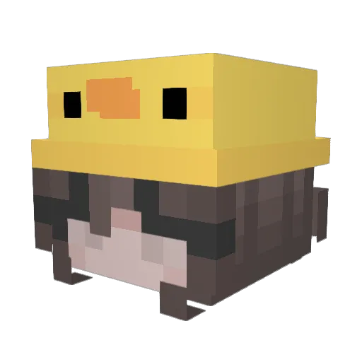 lemooon816 Minecraft avatar head, 3D render