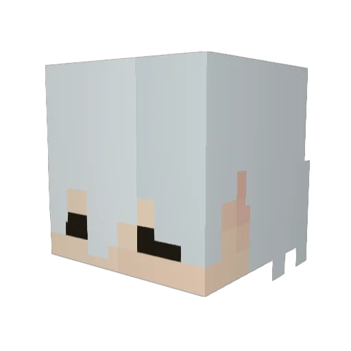 lems2010 Minecraft avatar head, 3D render