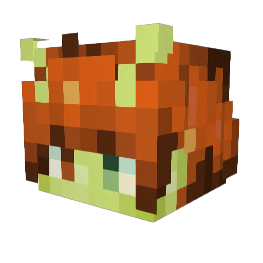 lemsnotes Minecraft avatar head, 3D render