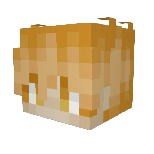 lemzy1233 Minecraft avatar head, 3D render