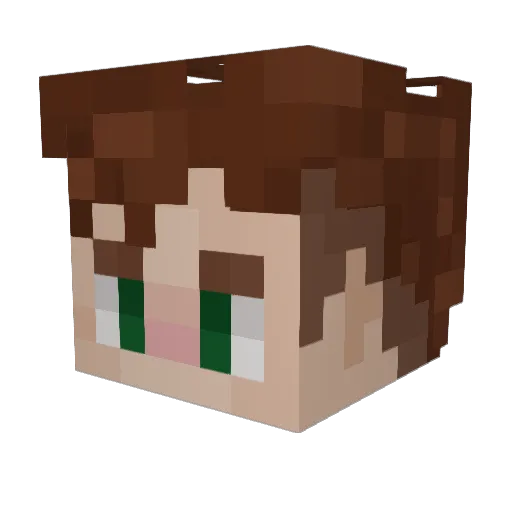 len465 Minecraft avatar head, 3D render