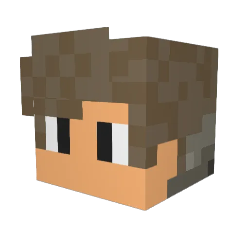 len9011 Minecraft avatar head, 3D render