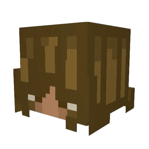 lena614 Minecraft avatar head, 3D render