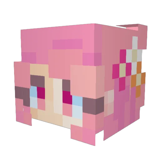 lenairy Minecraft avatar head, 3D render