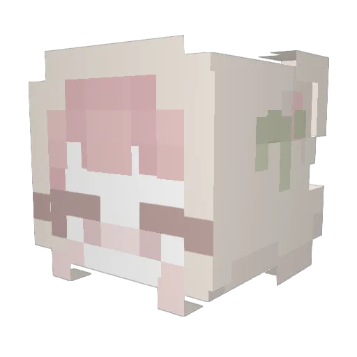 lenaqti Minecraft avatar head, 3D render