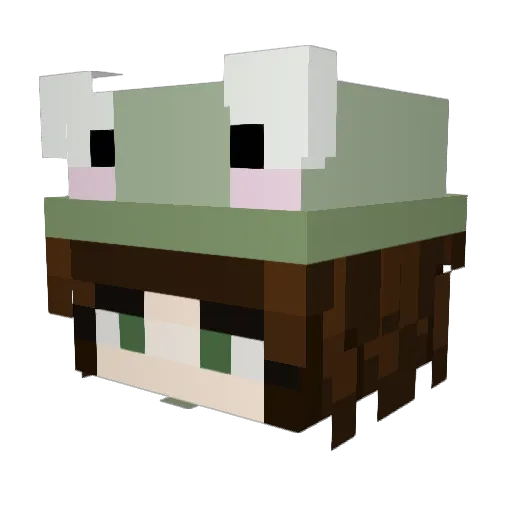 lenasfrogs Minecraft avatar head, 3D render