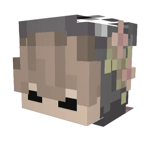 lener15 Minecraft avatar head, 3D render