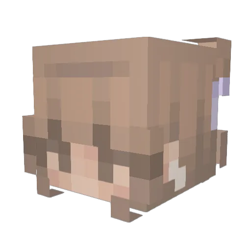 lengxoxo Minecraft avatar head, 3D render