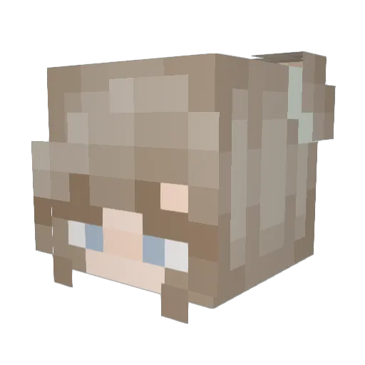 lenna963 Minecraft avatar head, 3D render