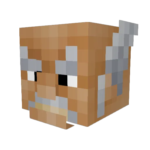 lenni228 Minecraft avatar head, 3D render
