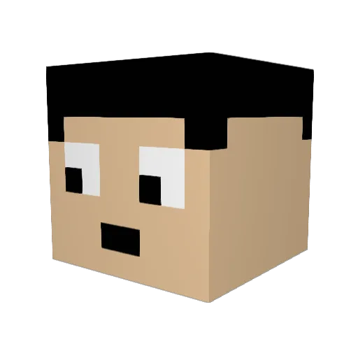 lennie55 Minecraft avatar head, 3D render