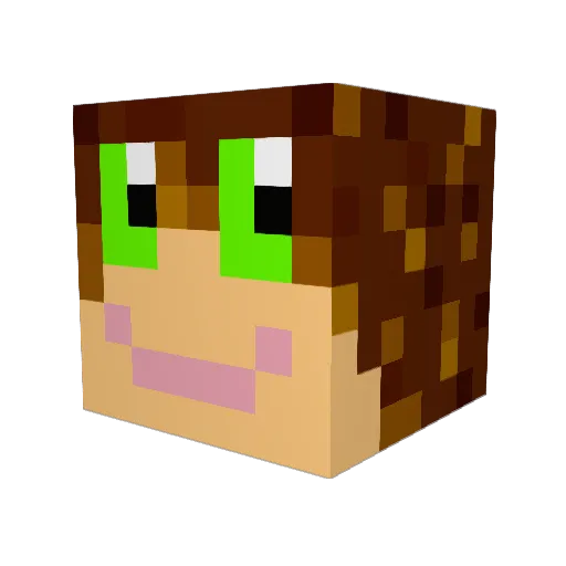 lenoxia Minecraft avatar head, 3D render