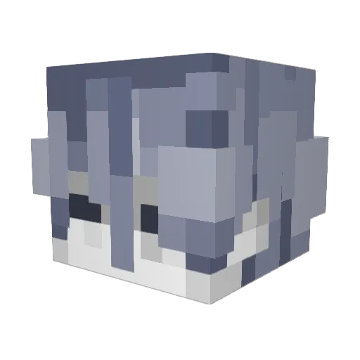 lenpus Minecraft avatar head, 3D render