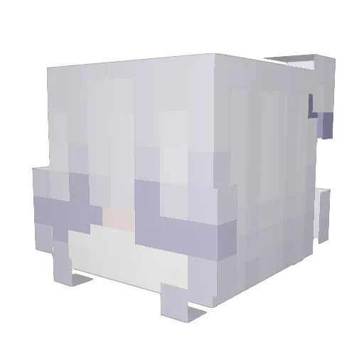lentitas Minecraft avatar head, 3D render