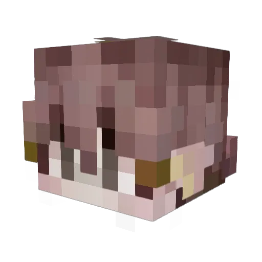 lentywth Minecraft avatar head, 3D render