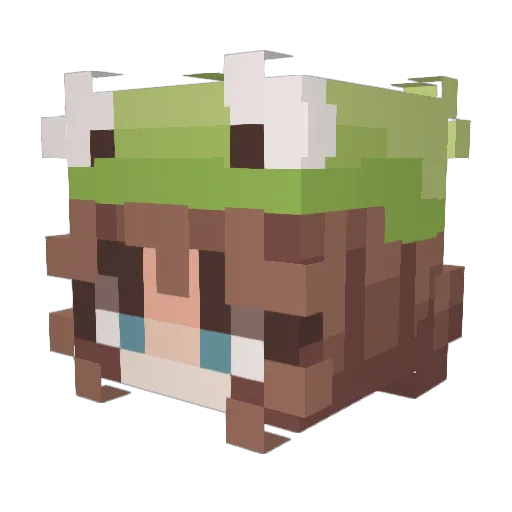 lenxschl Minecraft avatar head, 3D render