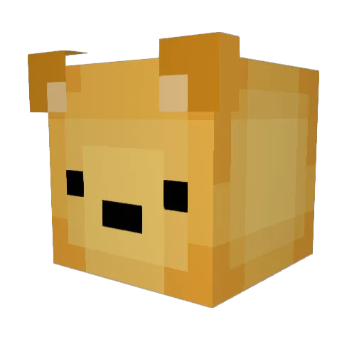 leo_QQ Minecraft avatar head, 3D render
