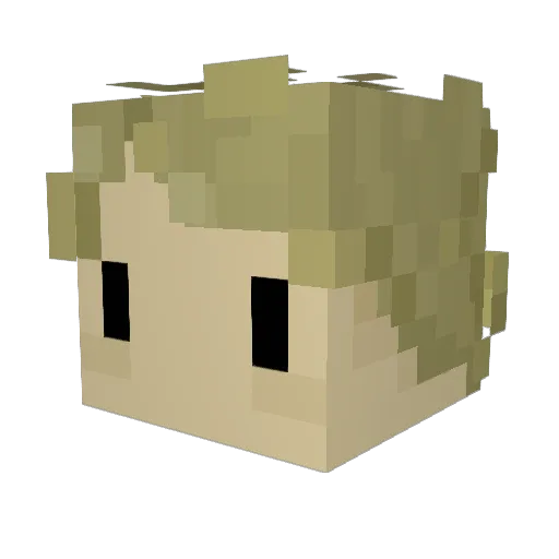 leo_lazuli Minecraft avatar head, 3D render